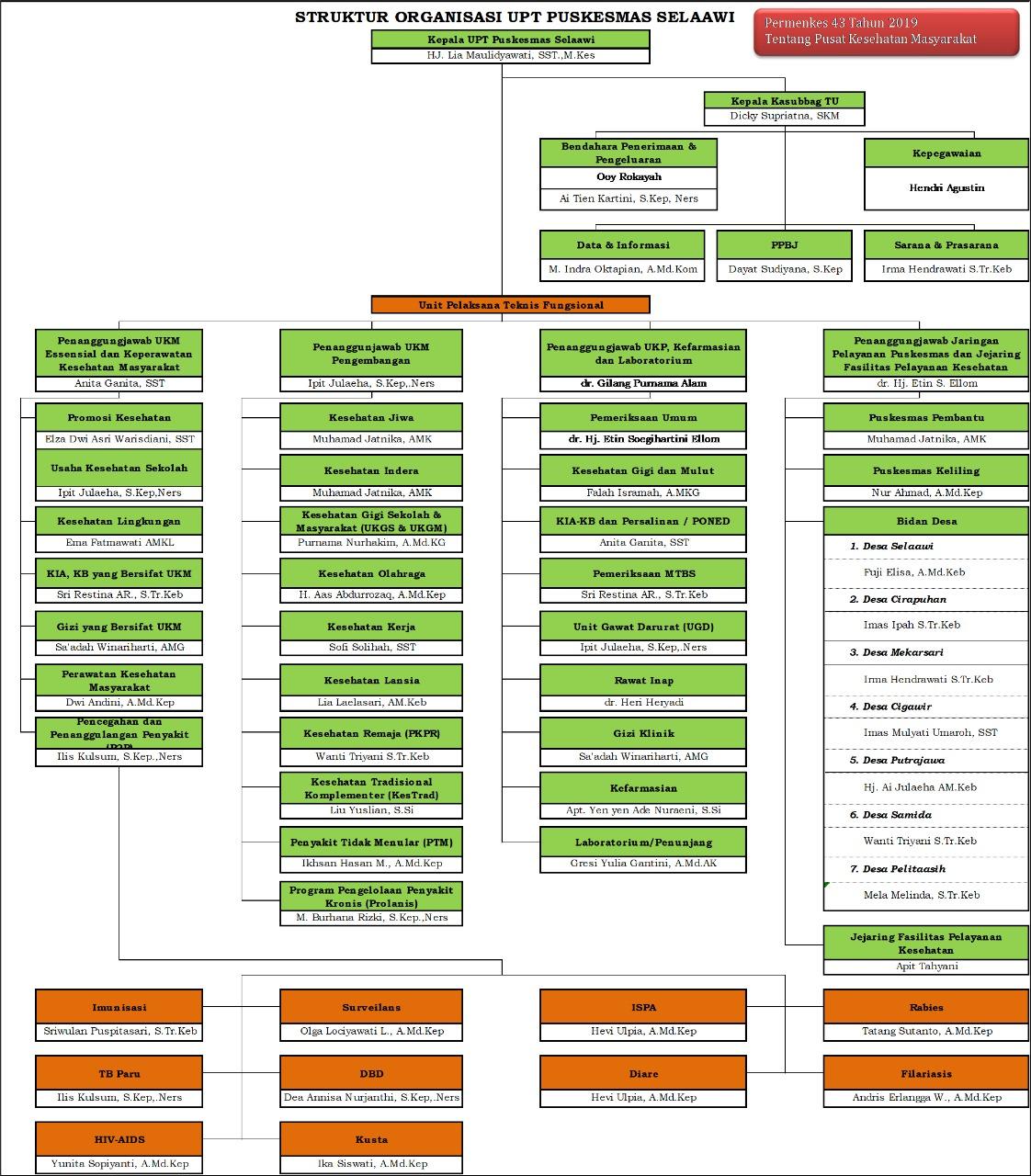 Struktur Organisasi PKM Selaawi